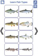 Fish Types | Goldfish Saltwate screenshot 3