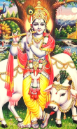 Lord Krishna Wallpapers screenshot 8