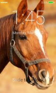 Horses Lock Screen screenshot 5