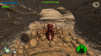 Ants - simulation fourmi screenshot 3