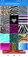 Zebra Print Wallpapers: HD images Free download screenshot 1