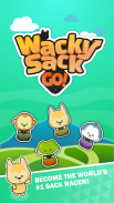 Wacky Sack Go! screenshot 0