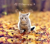 Kitten Autumn CatTheme screenshot 2
