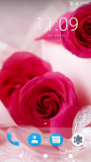Pink Rose HD Wallpapers screenshot 5