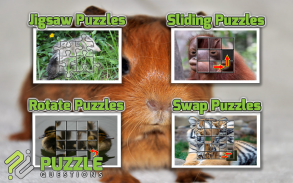 Free Baby Animal Puzzles screenshot 2