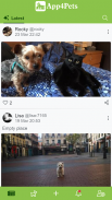 App4Pets - Pets social network screenshot 0