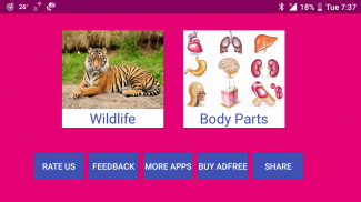 Learn Marathi Wildlife and Body Parts Names screenshot 0