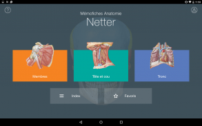 Mémofiches Anatomie Netter screenshot 0