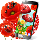 Ladybug live wallpaper Icon