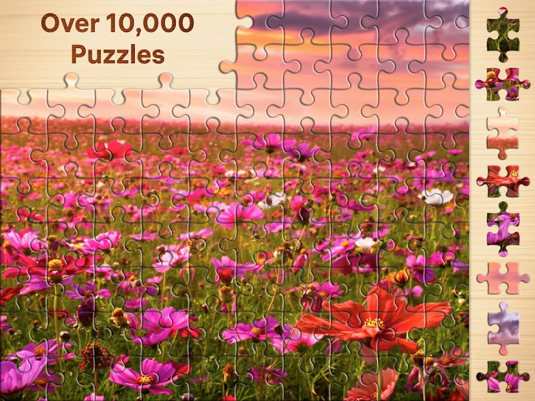 Le puzzle personnalisé 1000 pièces - La vedette parmi nos puzzles