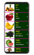 Learn Hindi From English screenshot 8