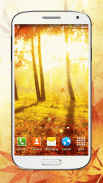 Autumn Live Wallpaper HD screenshot 6