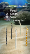 Garden Eel Pet screenshot 0