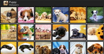 Puppy - HD Wallpapers screenshot 4