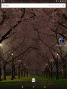 Spring Cherry Blossom Live Wallpaper FREE screenshot 14