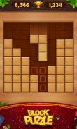 Wood Block Puzzle screenshot 21