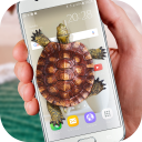 Schildkröte geht im Handy Witz Icon