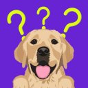 Dog Breed: Dogs games cute pet Icon