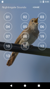 Nightingale: Bird Sounds screenshot 1