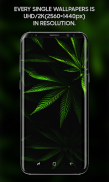 Unlit - Super Amoled Wallpapers screenshot 1