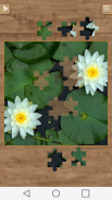 Best Jigsaw Puzzles screenshot 1