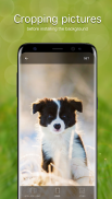 Puppy Wallpapers 4K screenshot 4