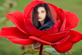 Rose Flower Photo Frames 2016 screenshot 7