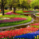 Garden Wallpapers HD Icon