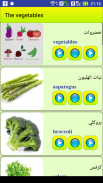 Learn Arabic language screenshot 15