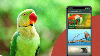 Parrot Sounds screenshot 2