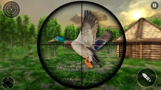 Island Birds Sniper Shooter screenshot 2