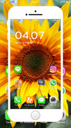 Sunflower Wallpapers screenshot 0