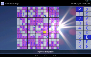 16x16 Sudoku Challenge HD screenshot 0