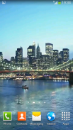 New York Video Wallpapers screenshot 3