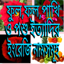 ফুল ফল পশু পাখি শাক- সবজি ইত্যাদির ইংরেজি নামসমূহ