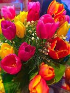 Beautiful Flowers Roses Gif screenshot 0