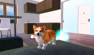 Corgi Dog Simulator screenshot 18