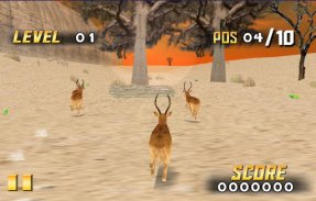 Savanna Race screenshot 1
