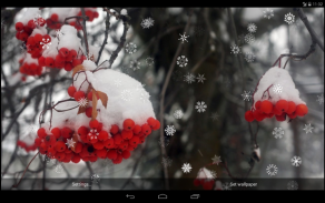 Snowy Live Wallpaper screenshot 13