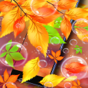 Autumn leaves live wallpaper