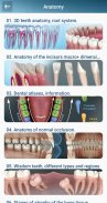 Dental 3D Illustrations screenshot 1