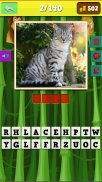 safari animals quiz screenshot 9