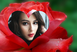 Rose Flower Photo Frames 2016 screenshot 8