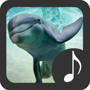 Dolphin Sounds screenshot 9