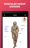 iGYMS - Gym Exercises screenshot 1