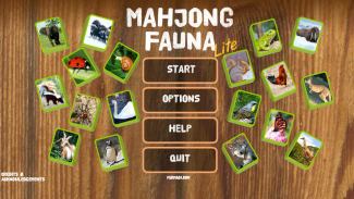 Mahjong Animal Tiles: Solitaire with Fauna Pics screenshot 0