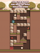 Puzzle Mole - The Logic Game screenshot 5