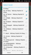 Quran Audio complet 30 Juz screenshot 4