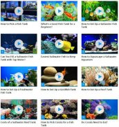 Aquarium Care (Guide) screenshot 0