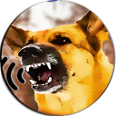 Scare Cats Barking Sounds Joke Icon